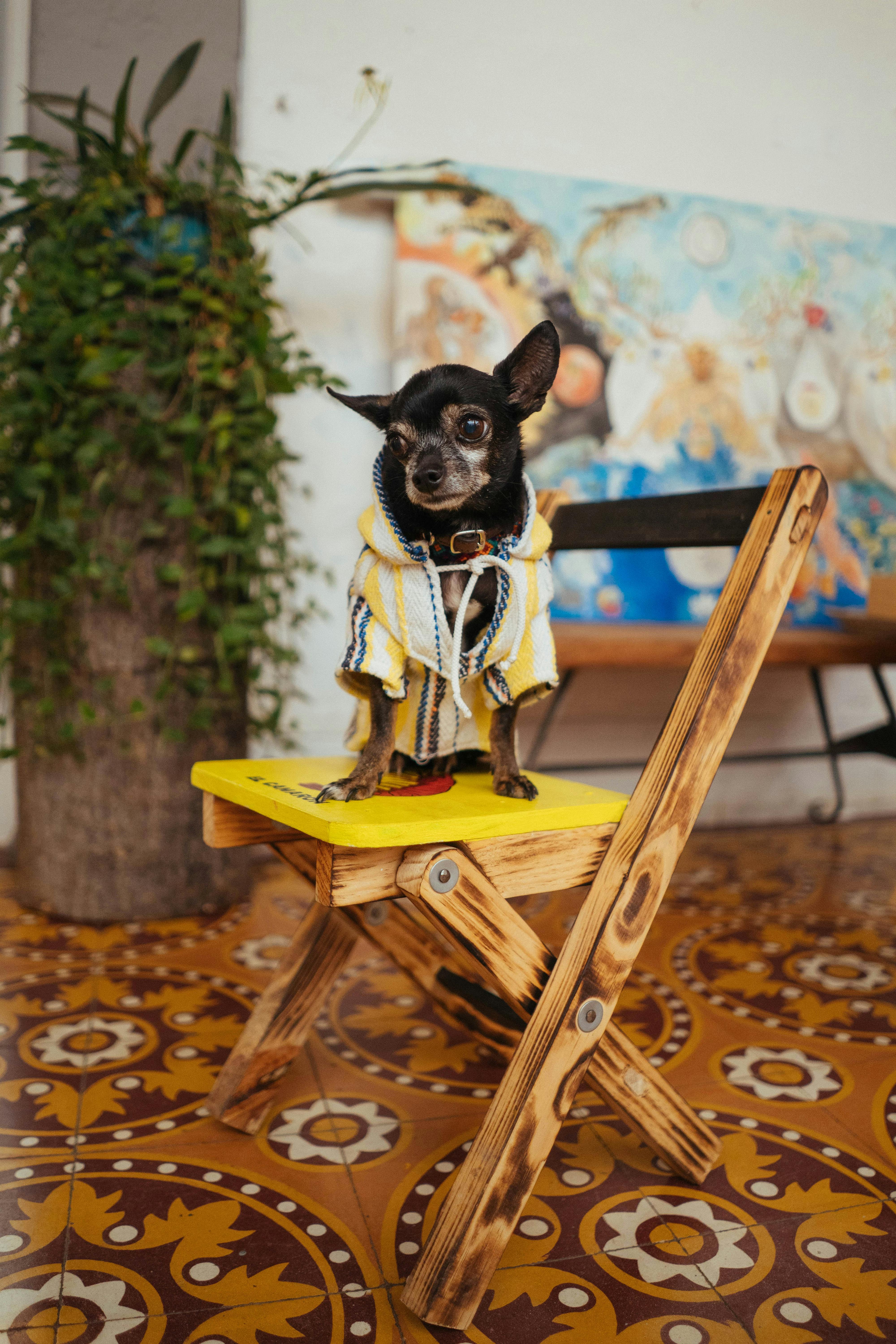 Producto 1 - Vista 1