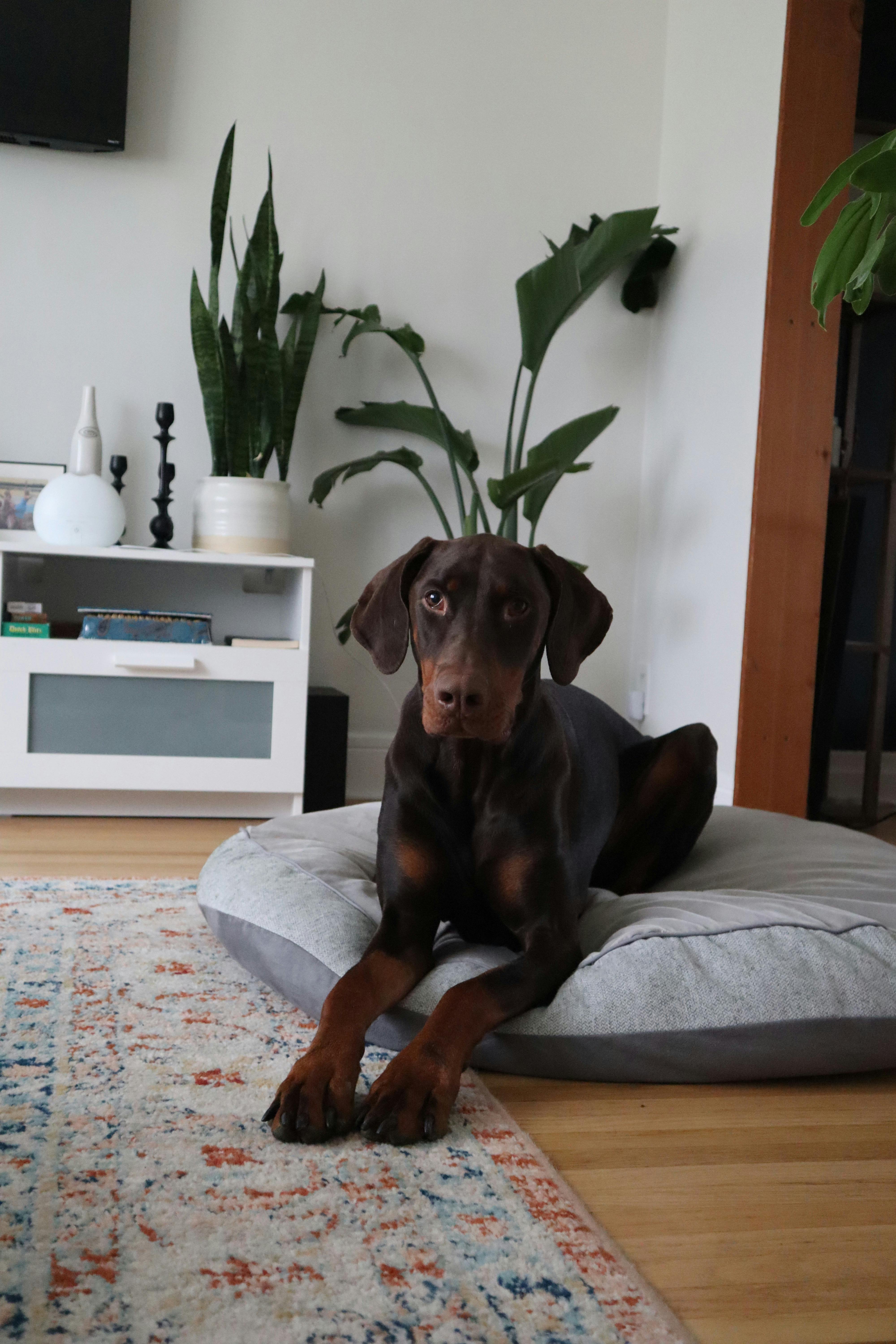 Producto 1 - Vista 2