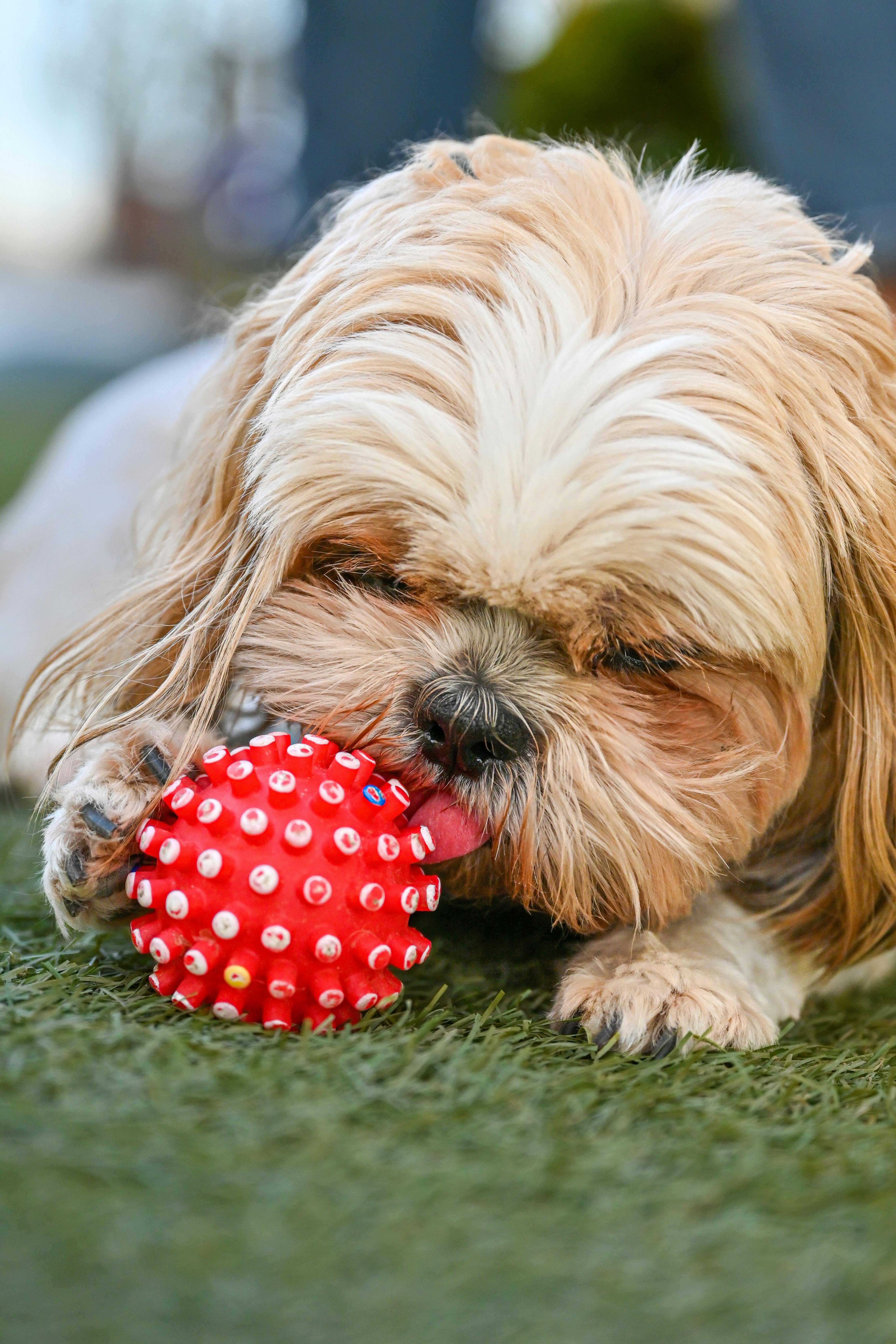 Accesorios Cumpleaños